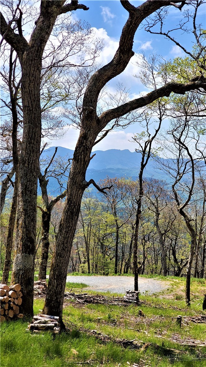 Tbd (lot 8) Chappell Farm Road Property Photo 4