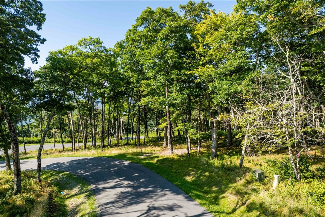 Tbd (lot 8) Chappell Farm Road Property Photo 8