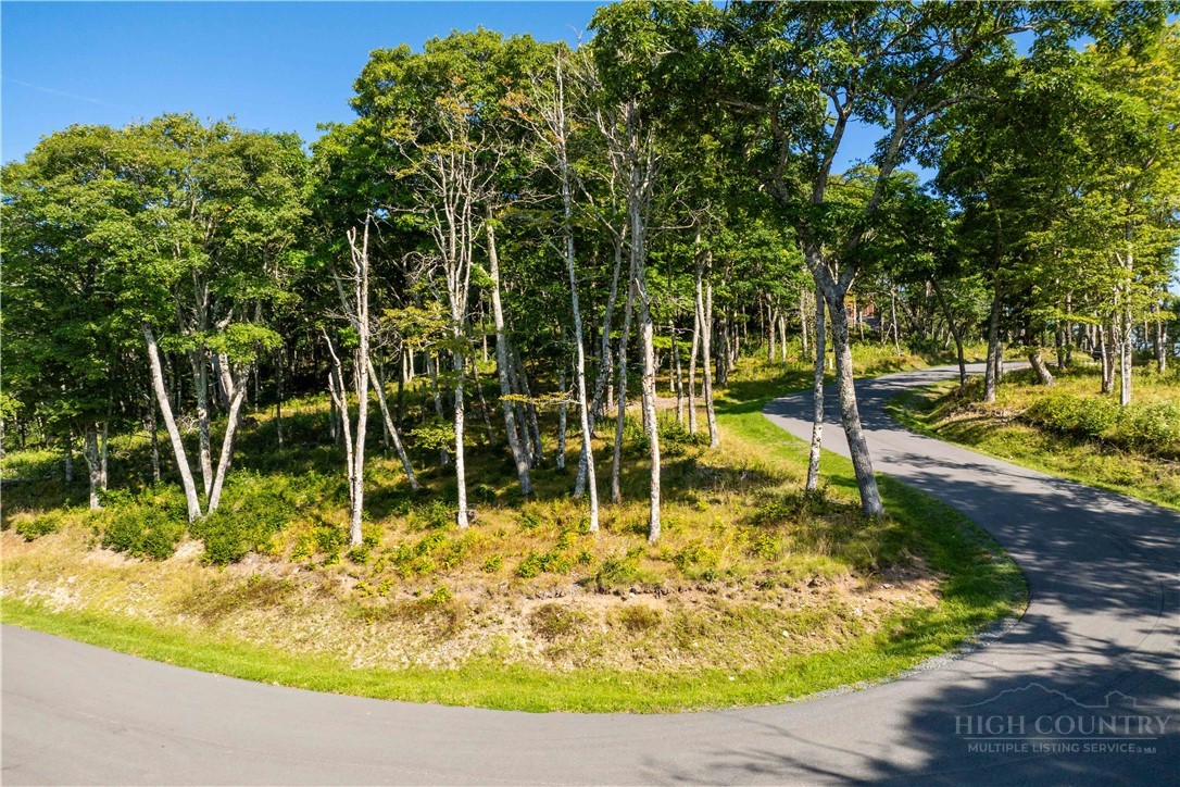 Tbd (lot 8) Chappell Farm Road Property Photo 9