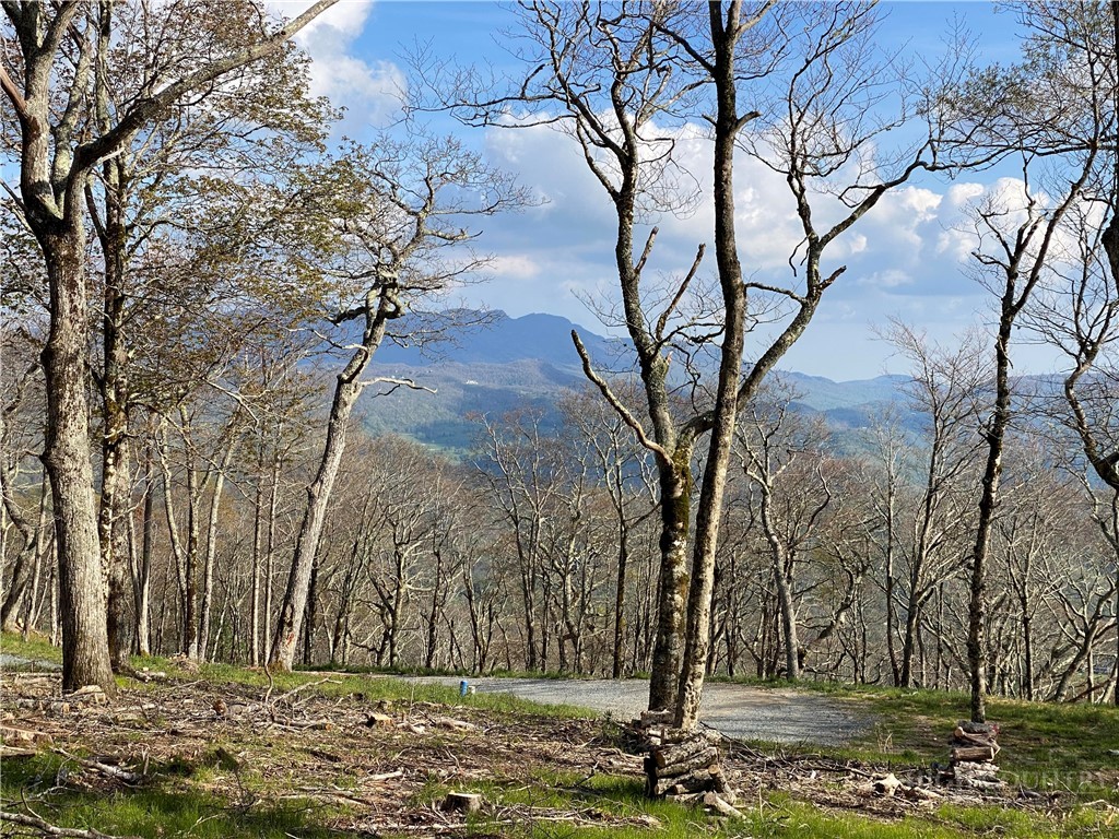 Tbd (lot 8) Chappell Farm Road Property Photo 10