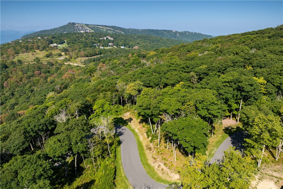 Tbd (lot 8) Chappell Farm Road Property Photo 11