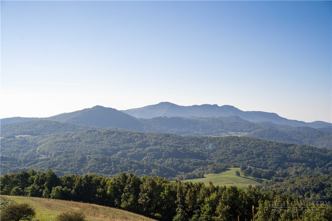 Tbd (lot 8) Chappell Farm Road Property Photo 17