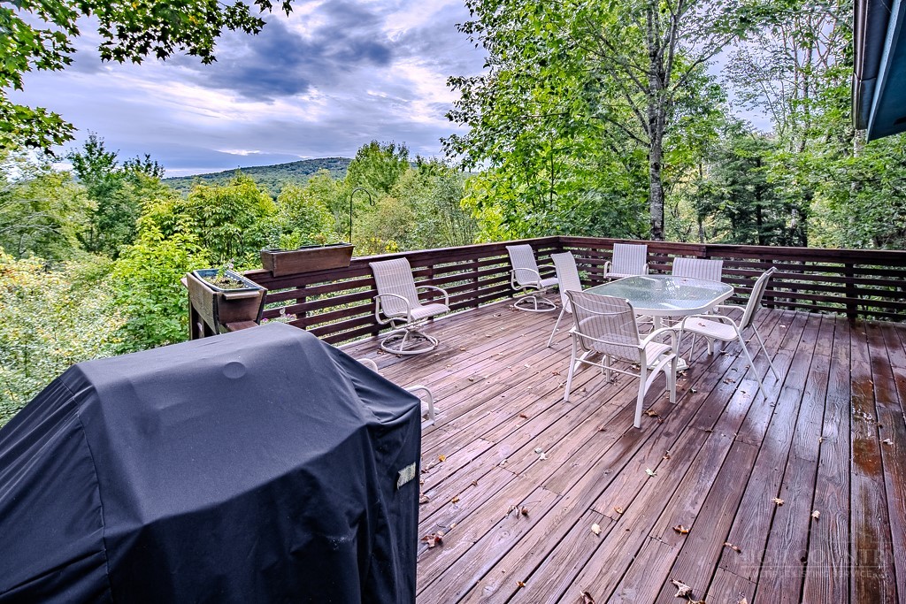 106 Grassy Gap Loop Road Property Photo 2