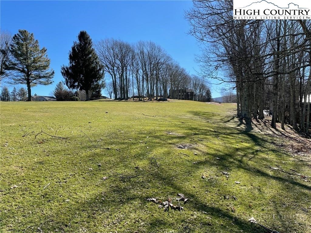 493 Saint Andrews Road Property Photo 1