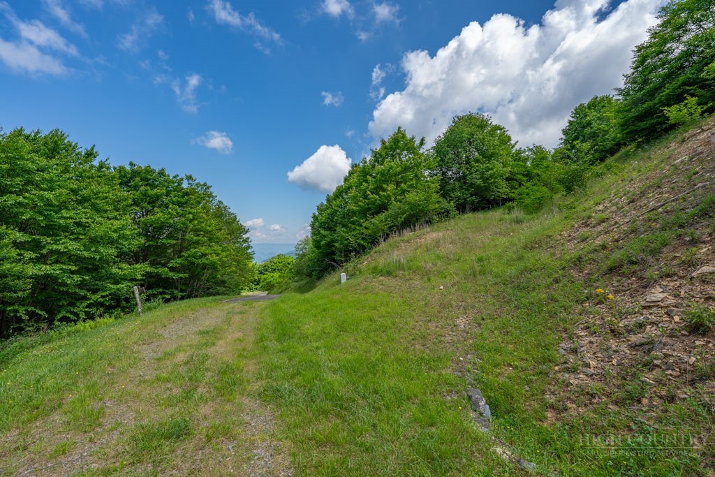 Lot C206 Buffalo Nvno Property Photo 1