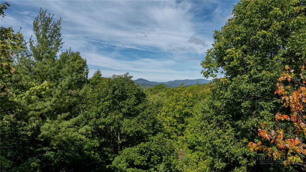 1056 Old Hampton Road Property Photo 41