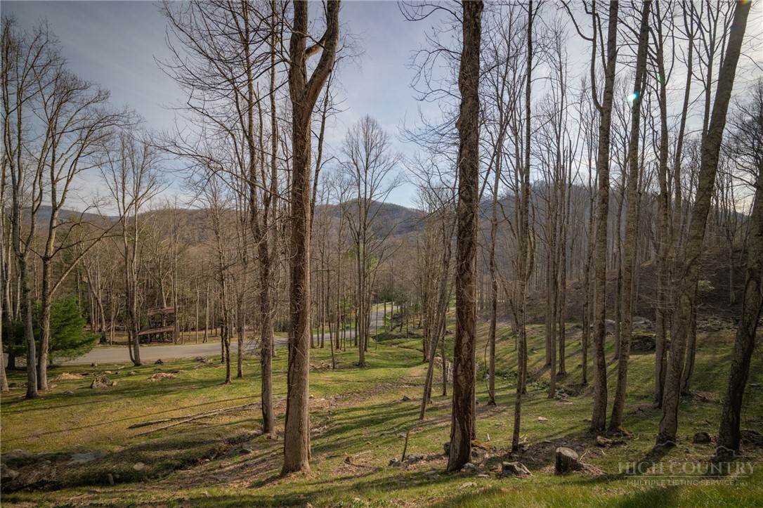 C15 Eagles Nest Trail Property Photo 2