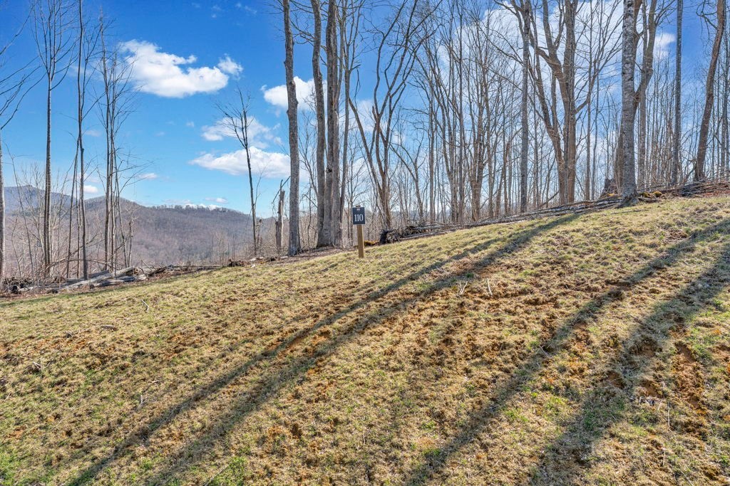 110 Blacksmith Court Property Photo 2