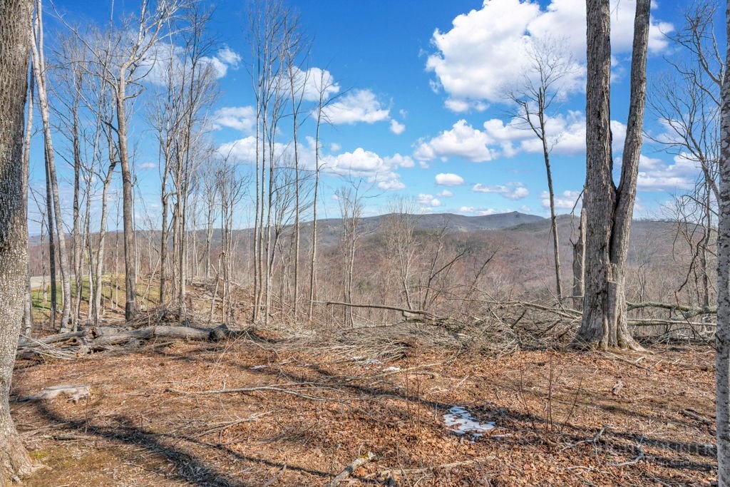110 Blacksmith Court Property Photo 4