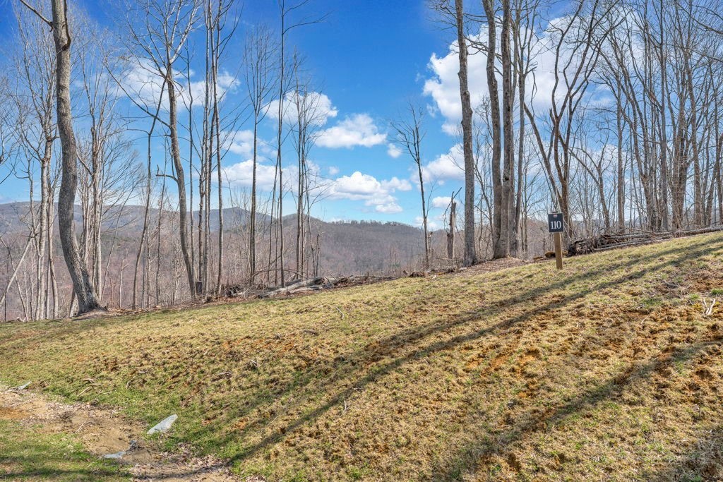 110 Blacksmith Court Property Photo 8