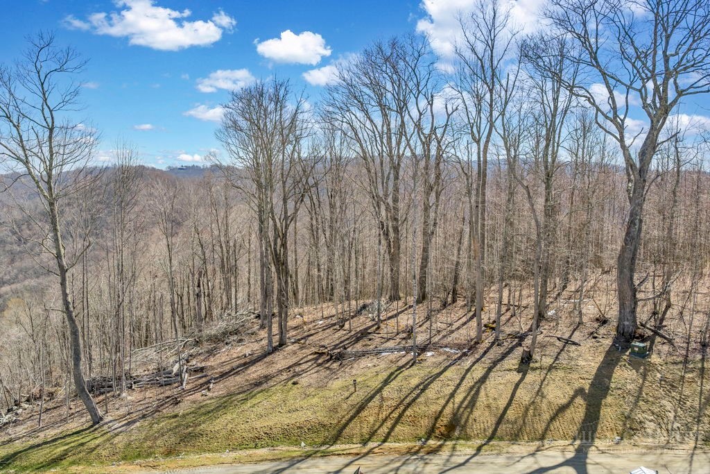110 Blacksmith Court Property Photo 11