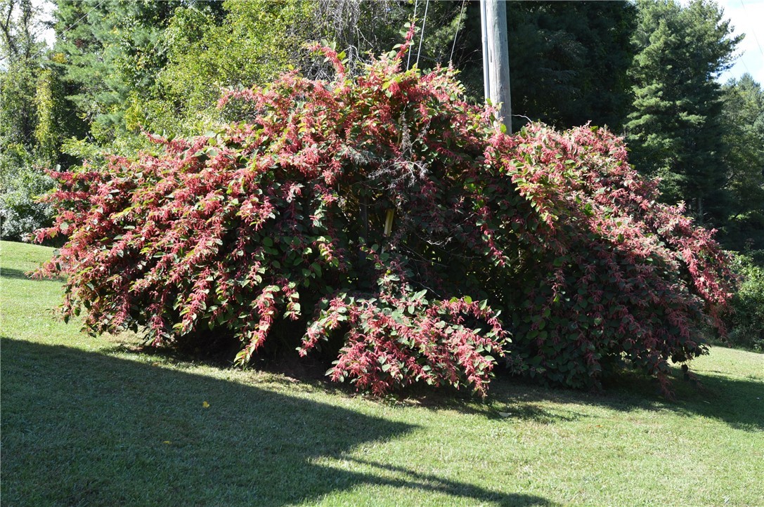53 Parkview Drive Property Photo 13
