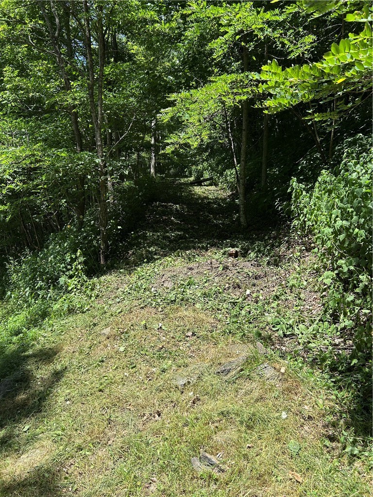 Tbd Lot B5 Little Tree Road Property Photo 1