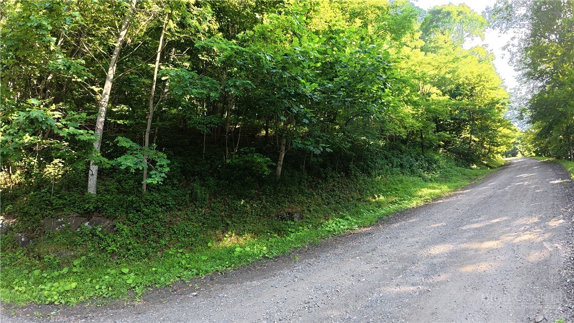 Tbd Lot B5 Little Tree Road Property Photo 2