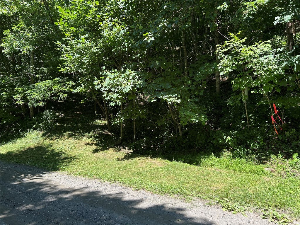 Tbd Lot B5 Little Tree Road Property Photo 3