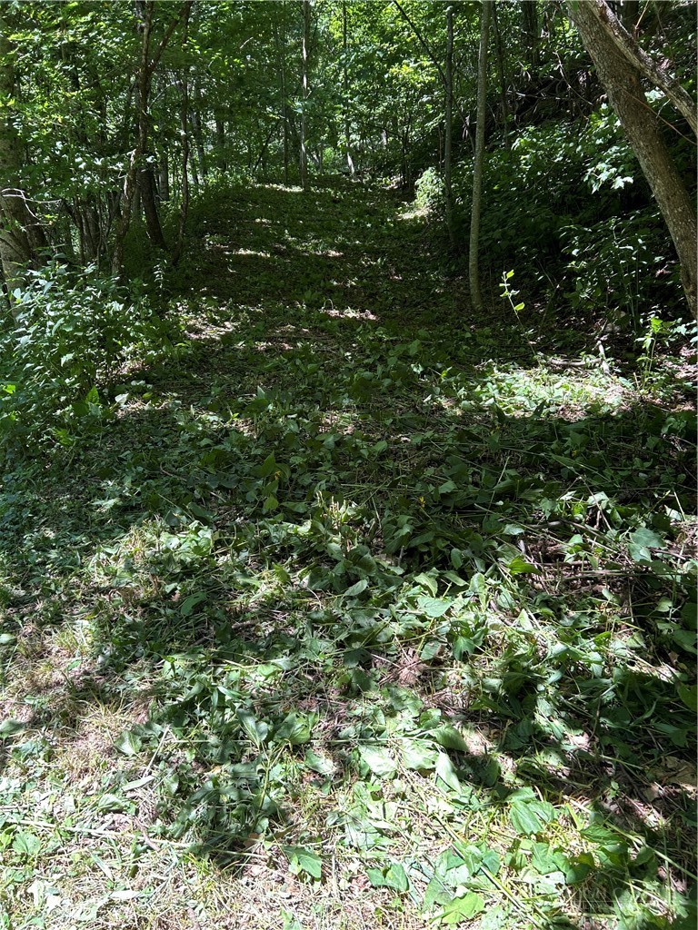 Tbd Lot B5 Little Tree Road Property Photo 4