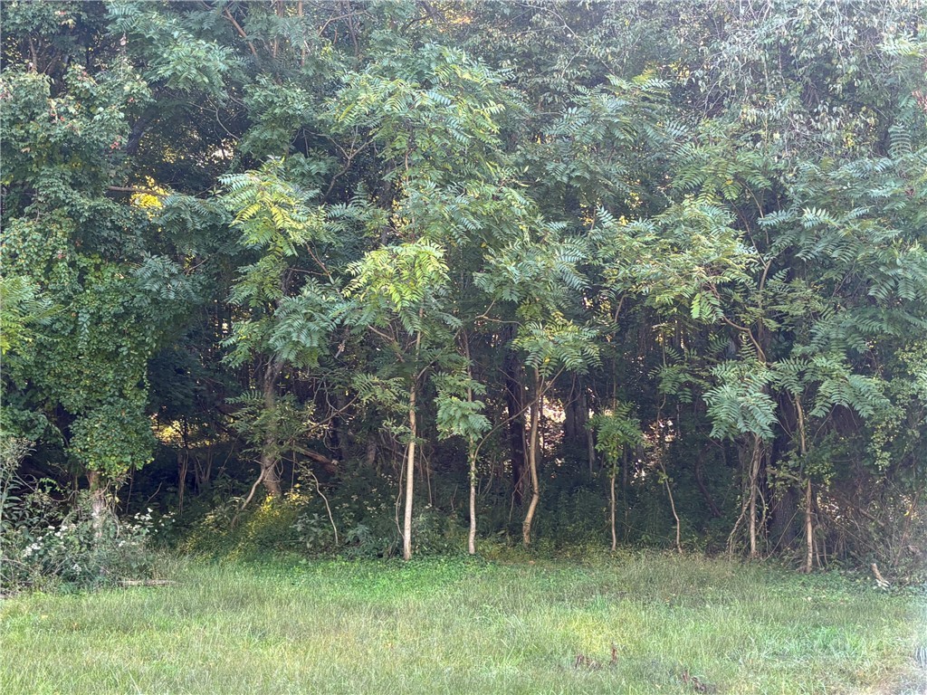 Tbd New Haven Road Property Photo 2