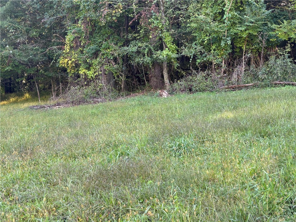 Tbd New Haven Road Property Photo 3