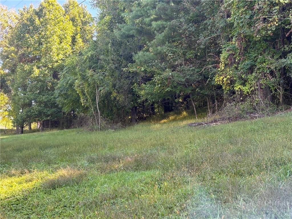 Tbd New Haven Road Property Photo 4