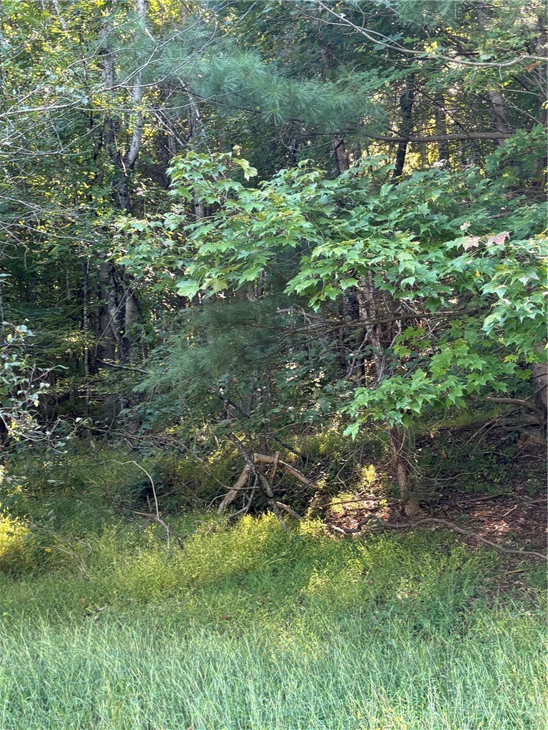 Tbd New Haven Road Property Photo 6