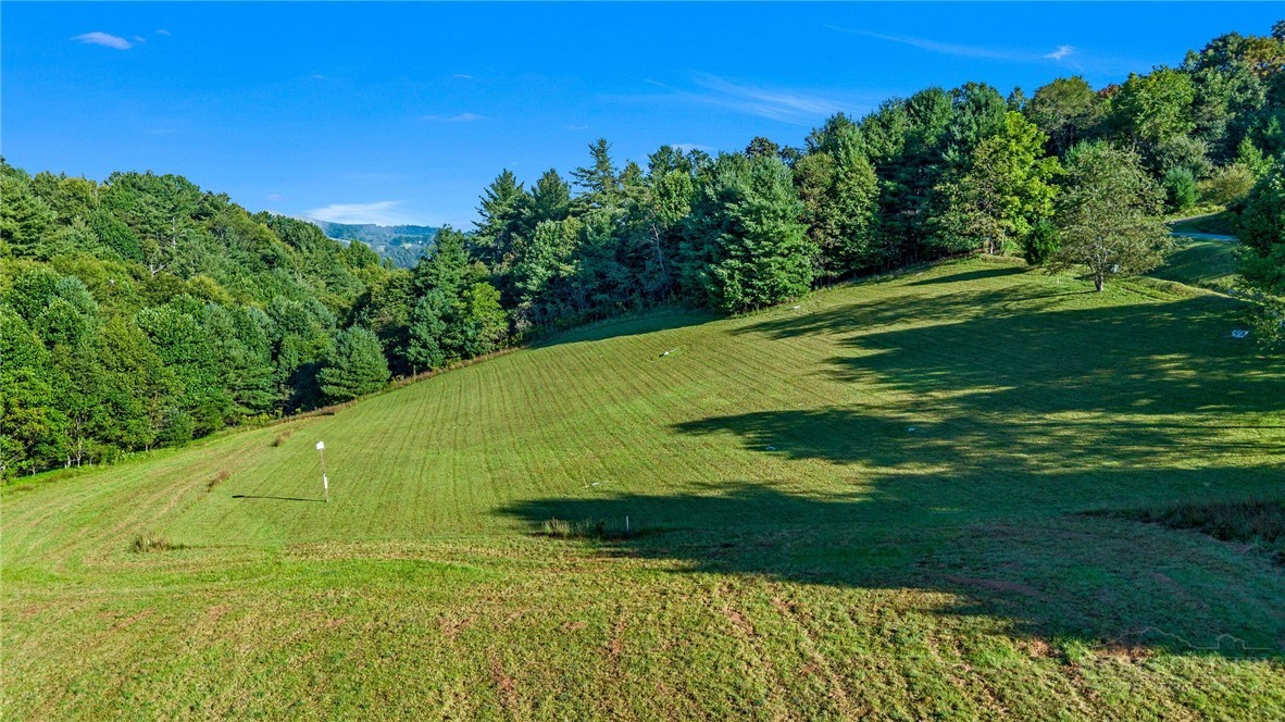 Tbd - Lot 40 Creek Court Property Photo 1