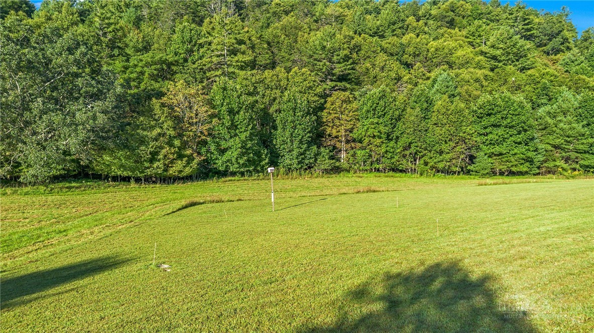 Tbd - Lot 40 Creek Court Property Photo 4
