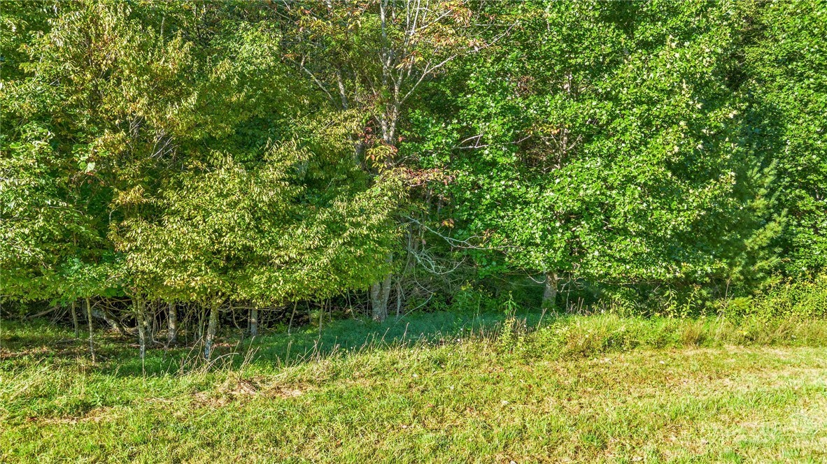 Tbd - Lot 40 Creek Court Property Photo 17