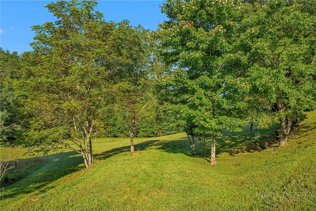 Tbd - Lot 40 Creek Court Property Photo 22