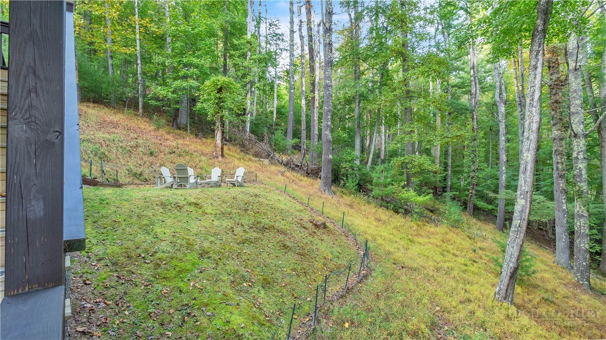 184 Raccoon Run Property Photo 27