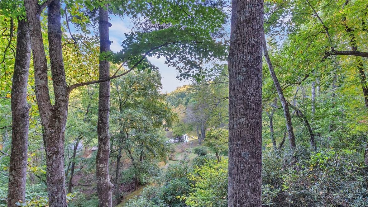 184 Raccoon Run Property Photo 33