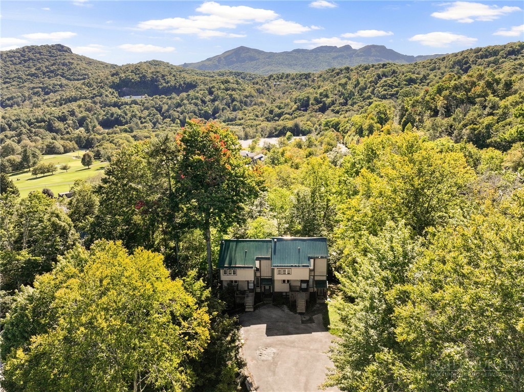 1443 Sugar Mountain Drive G36 Property Photo 23