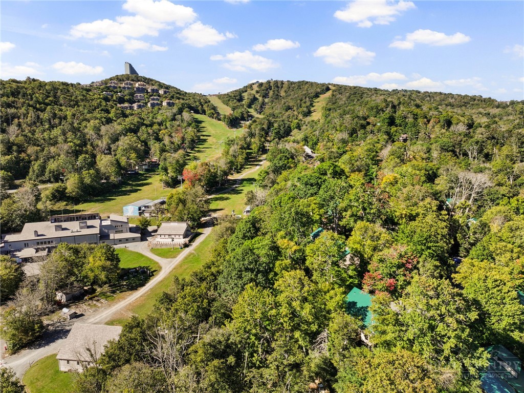 1443 Sugar Mountain Drive G36 Property Photo 24