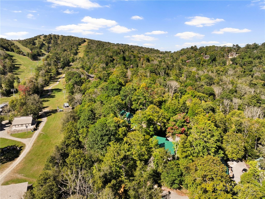 1443 Sugar Mountain Drive G36 Property Photo 25