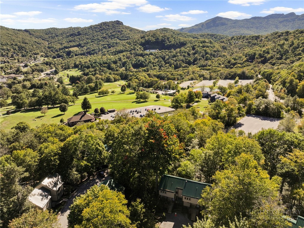 1443 Sugar Mountain Drive G36 Property Photo 27