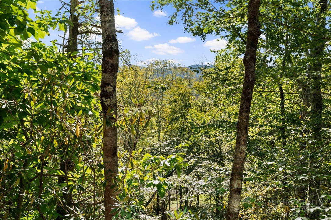 1443 Sugar Mountain Drive G36 Property Photo 28