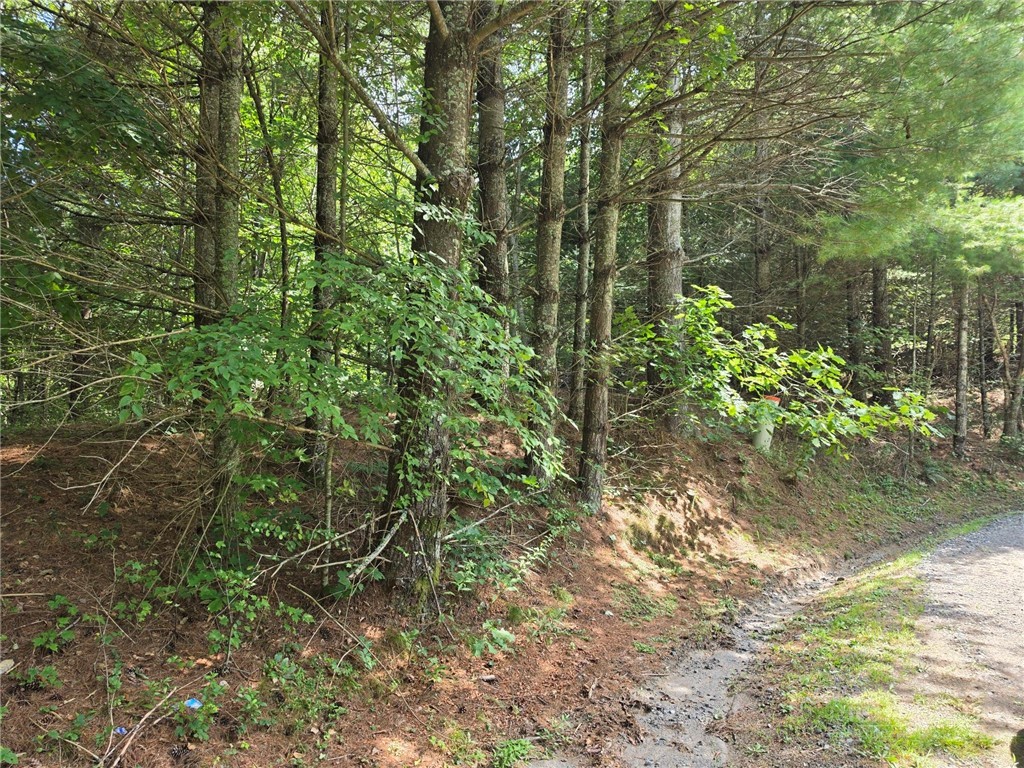 Lot 78 Green Meadows Property Photo 1