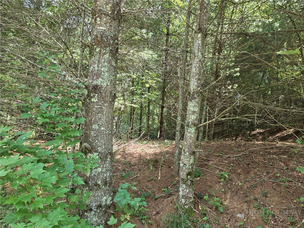 Lot 78 Green Meadows Property Photo 2