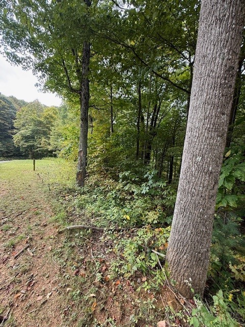 10 Granite Creek Circle Property Photo 3