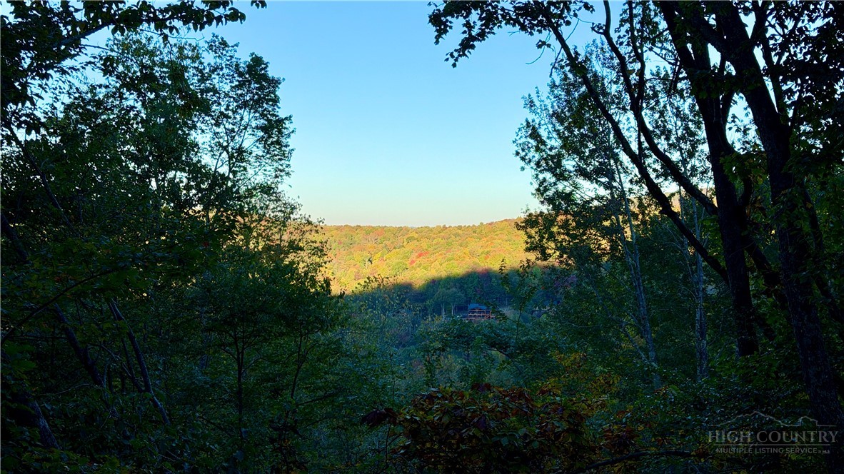 109 Foxgrape Hollow Road Property Photo 3