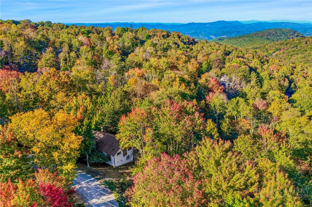 109 Foxgrape Hollow Road Property Photo 4