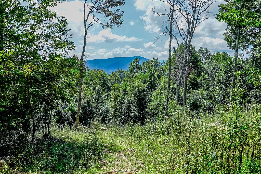 Lot #h12 Heritage Ridge Road Property Photo 4
