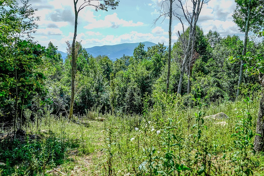 Lot #h12 Heritage Ridge Road Property Photo 5