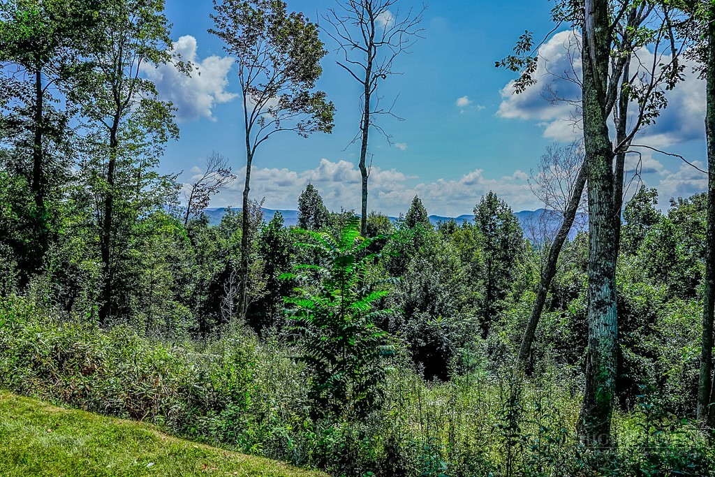 Lot #h12 Heritage Ridge Road Property Photo 8