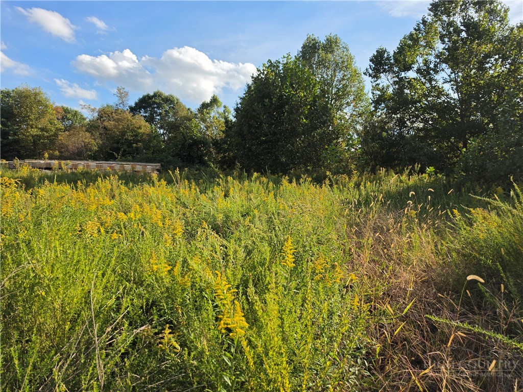 Tbd Us Hwy 221 / Railroad Grade Road Property Photo 5
