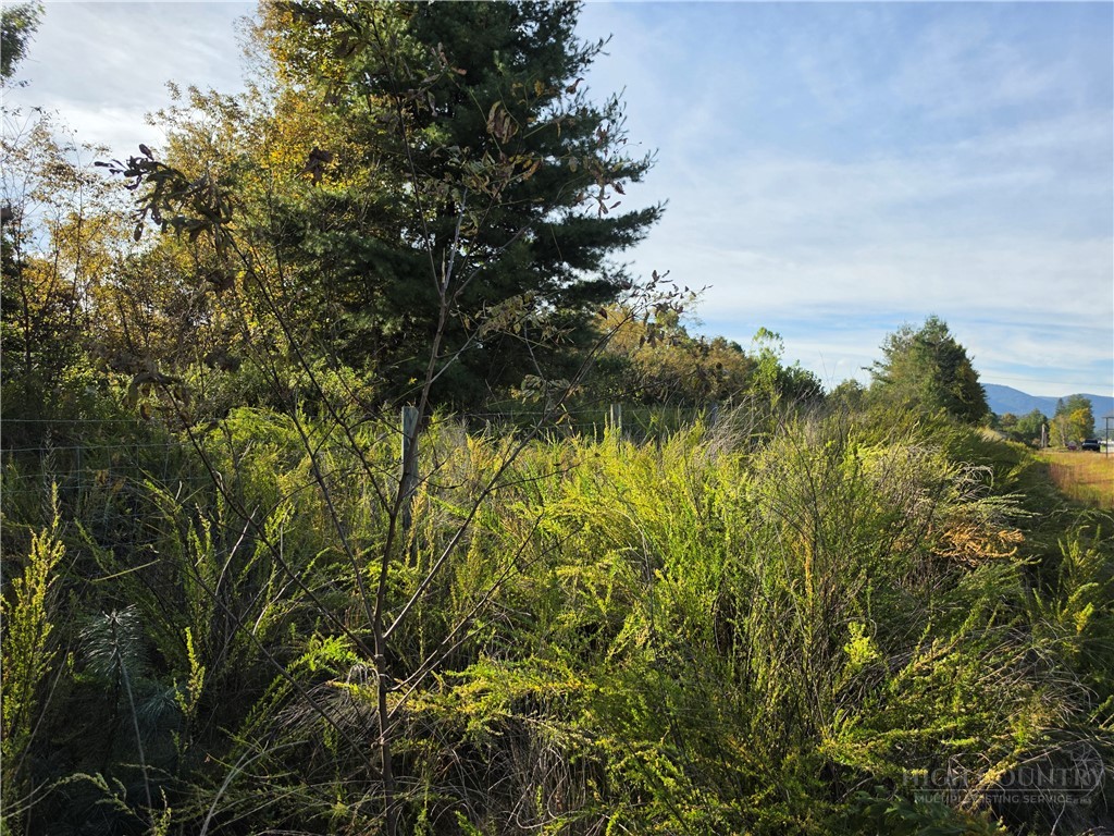 Tbd Us Hwy 221 / Railroad Grade Road Property Photo 7