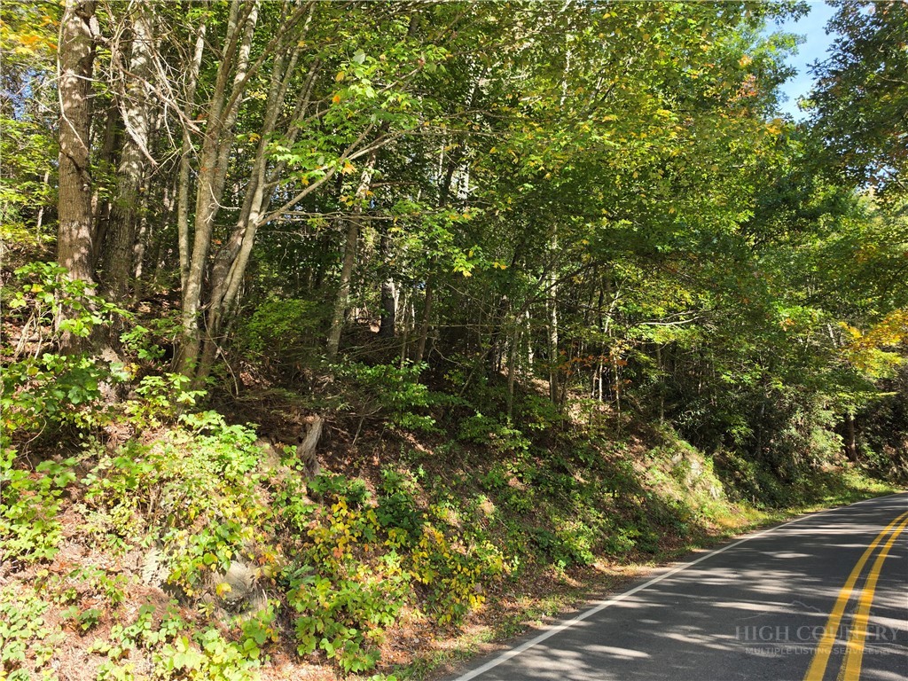 Tbd Us Hwy 221 / Railroad Grade Road Property Photo 8