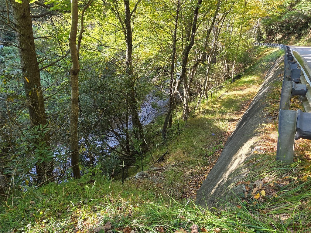 Tbd Us Hwy 221 / Railroad Grade Road Property Photo 10