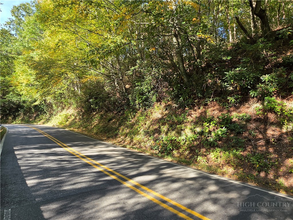Tbd Us Hwy 221 / Railroad Grade Road Property Photo 11