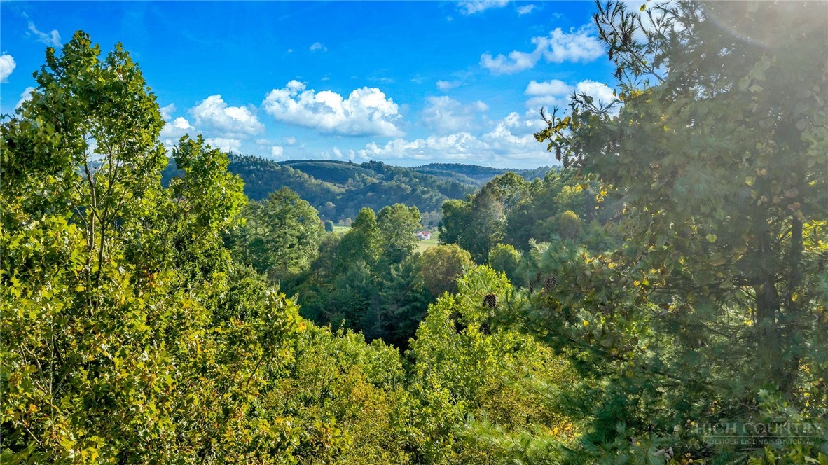 Tbd Us Hwy 221 / Railroad Grade Road Property Photo 16