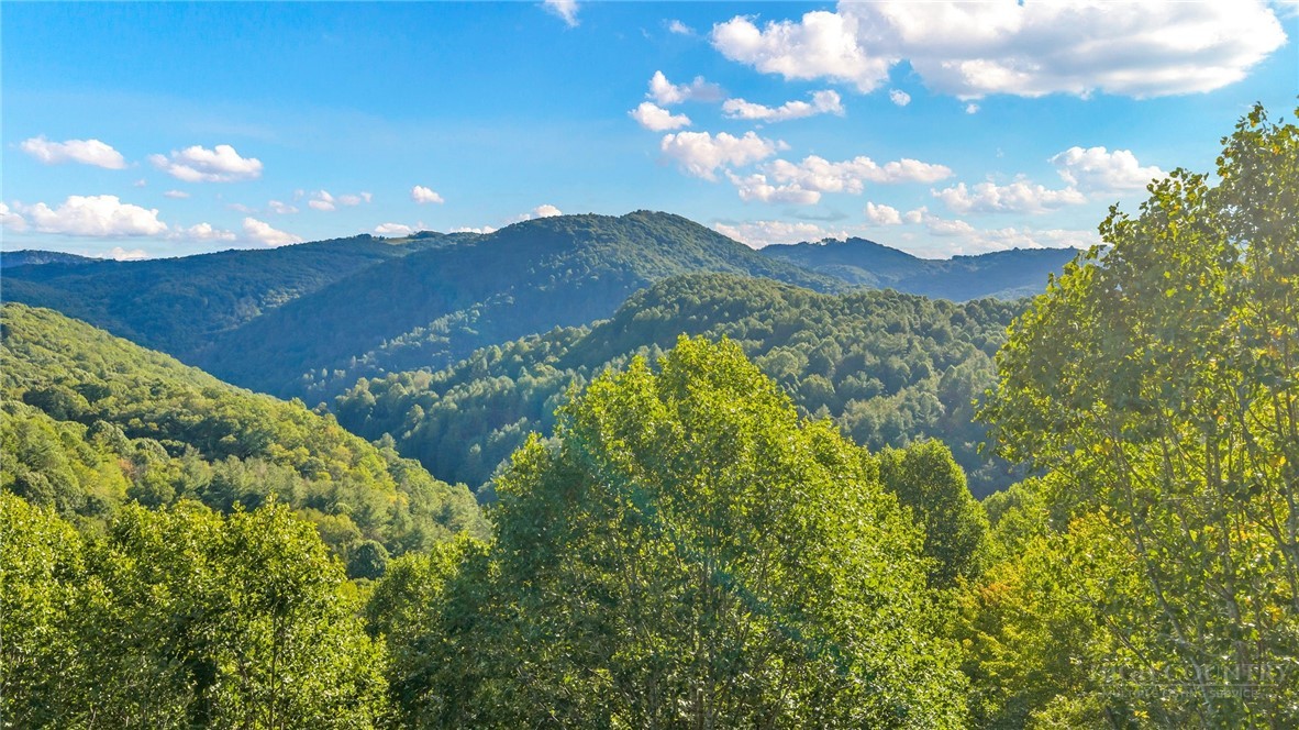 Tbd Mud Creek Road Property Photo 2